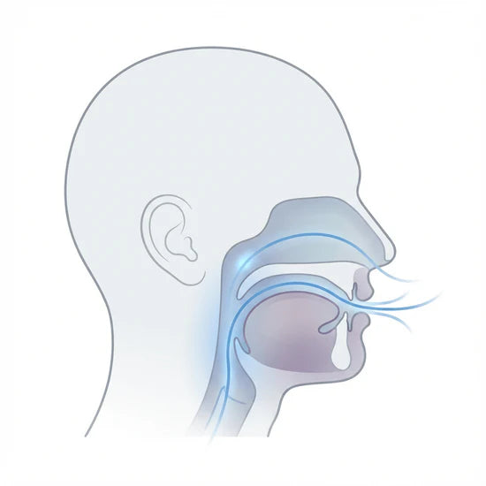 Selvela Anti-Snoring Mouthpiece Targeted Relief for Loud Snores
