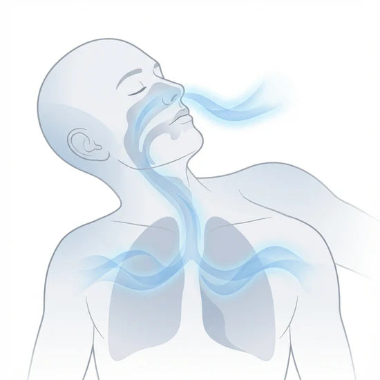Selvela Anti-Snoring Mouthpiece Targeted Relief for Loud Snores