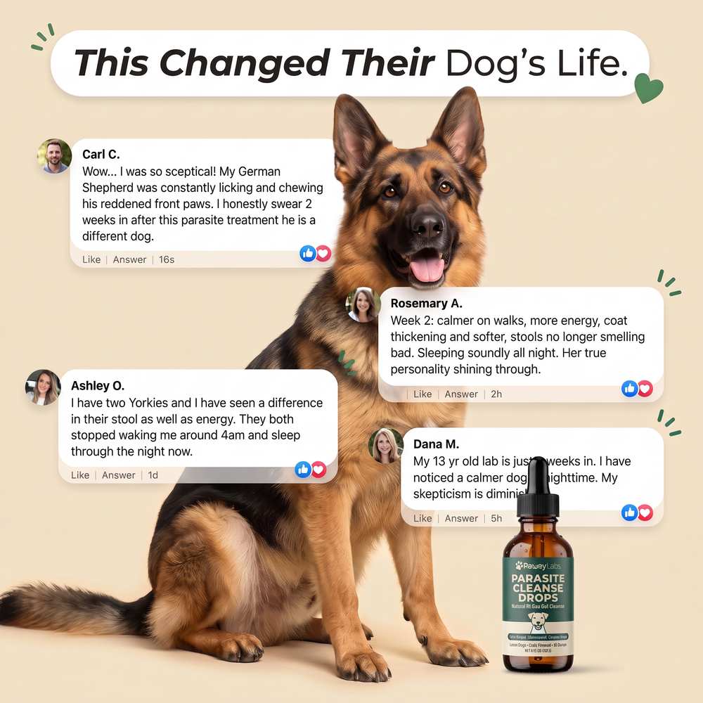 Selvela parasite cleanse drops