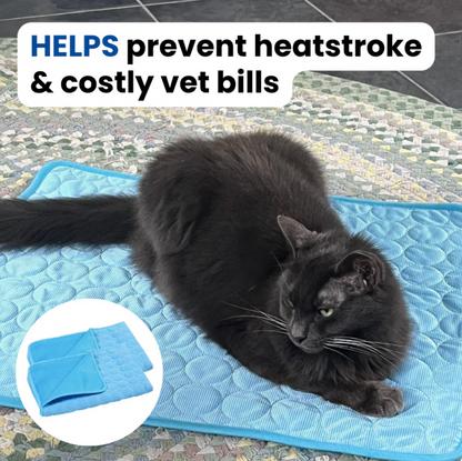 Protect Your Cat From Heatstroke with Selvela Cooling Mat