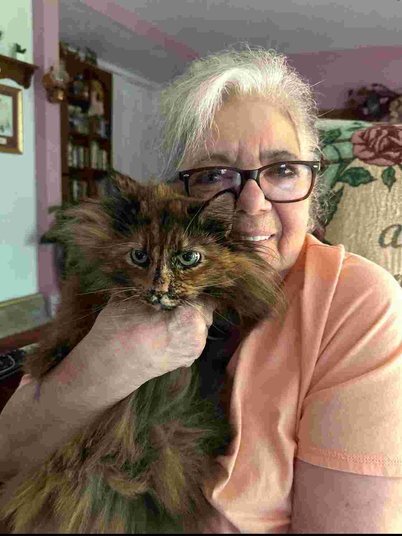 files/i-went-with-my-grandma-to-get-a-kitten-once-10-years-later-v0-qqss82p80fee1_1_1.jpg