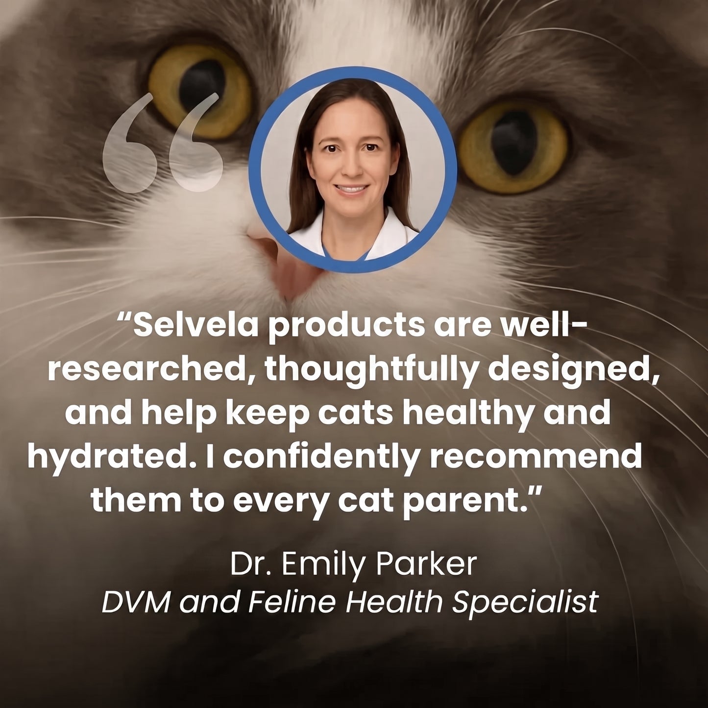 Protect Your Cat From Heatstroke with Selvela Cooling Mat