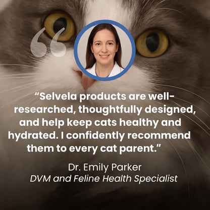 Protect Your Cat From Heatstroke with Selvela Cooling Mat